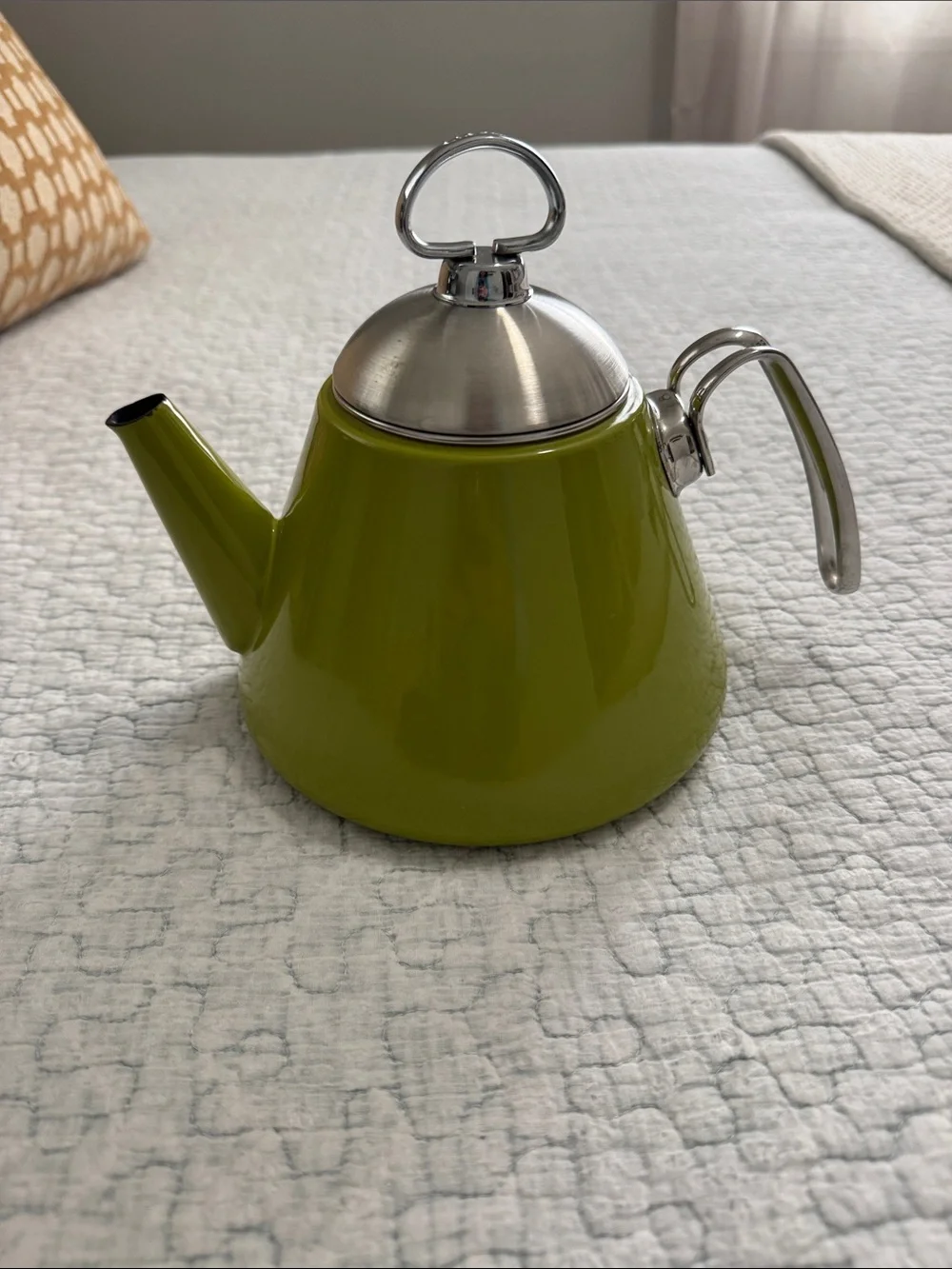 Chantal Green Stainless Steel Teapot with Polished Lid